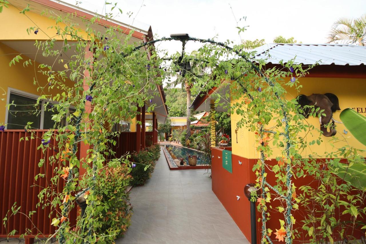 Ban Elephant Blanc Bungalow Kata Plajı Dış mekan fotoğraf