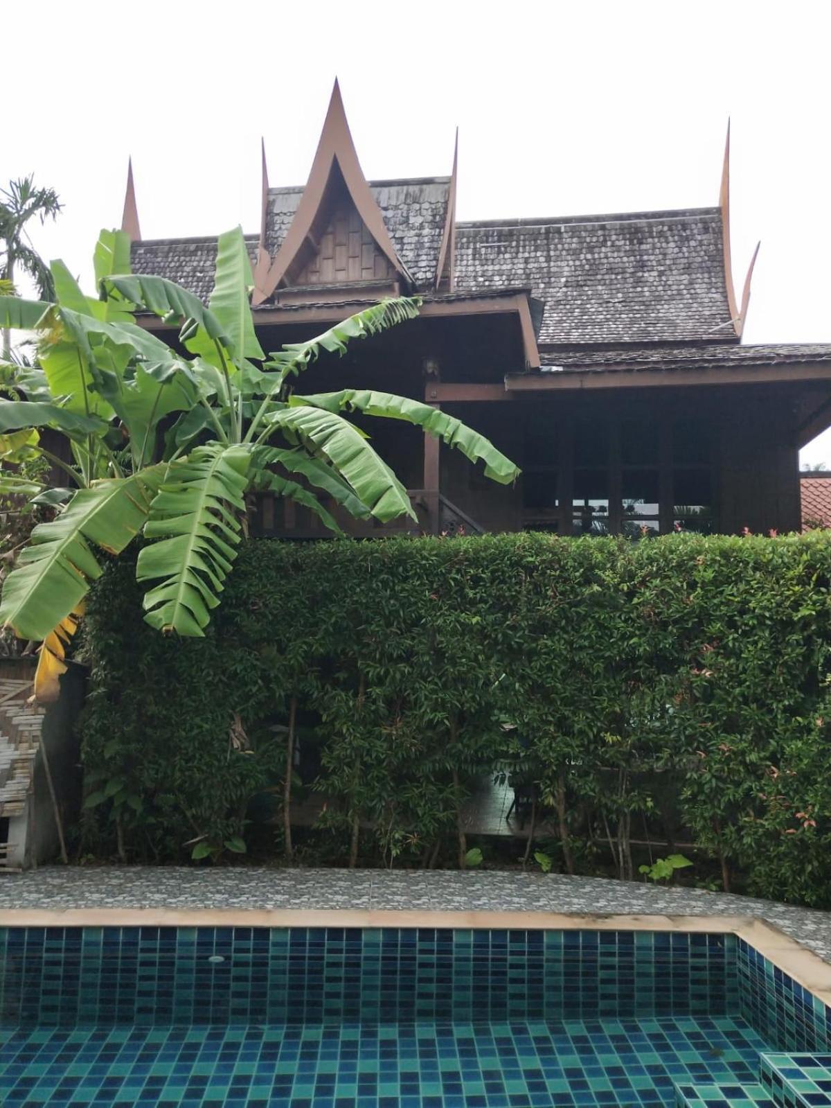 Ban Elephant Blanc Bungalow Kata Plajı Dış mekan fotoğraf